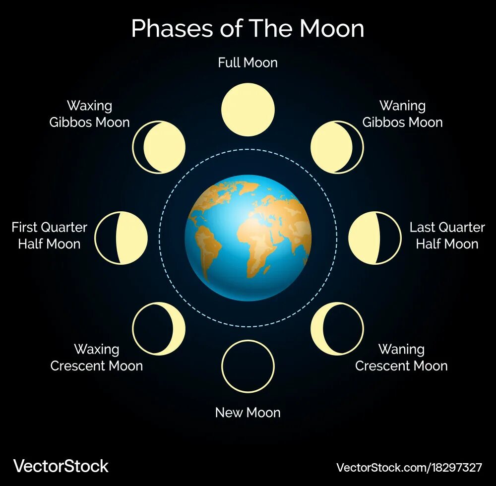 В каком состоянии находится фаза луны. Moon phases. полнолуние астрономия. цикл лунных фаз. луна в разных фазах.