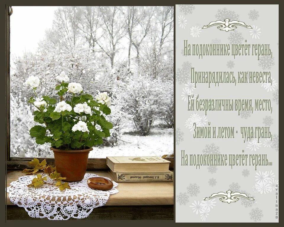 Цветы на зимнем окне. Снежное утро пожелания. Доброе утро снежок за окном. Уютного зимнего утра с пожеланиями.