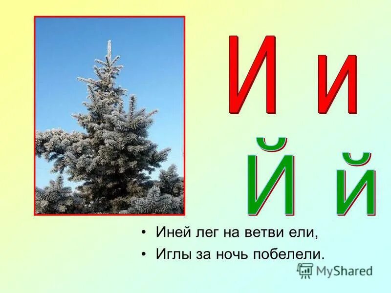 Жил у нас на крыше маршак. Иней лег на ветви ели иглы за ночь побелели. Иней лег на ветви ели. Буквы в инее. Иней лег на ветви ели буква и.