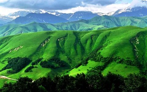 Дагестанская зелень