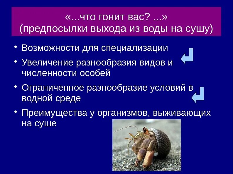 Разнообразие ограниченно. Почему стал возможен выход организмов из воды на сушу. Какие условия внешней среды стали причиной выхода организмов на сушу. Кто первый вышел из воды на сушу. Что гонит воду из человек.