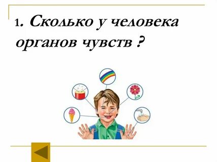 Сколько чувствует