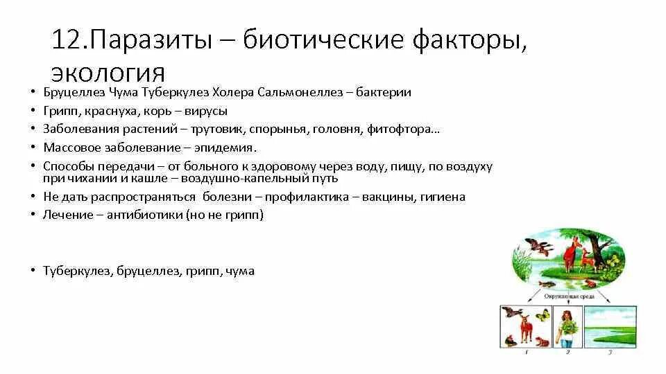 Тест экологические факторы 9 класс. Устойчивость простейших к факторам окружающей среды. Устойчивость гельминтов к факторам окружающей среды. Устойчивость грибов к факторам окружающий среды кратко. Резистентность к факторам окружающей среды холеры.