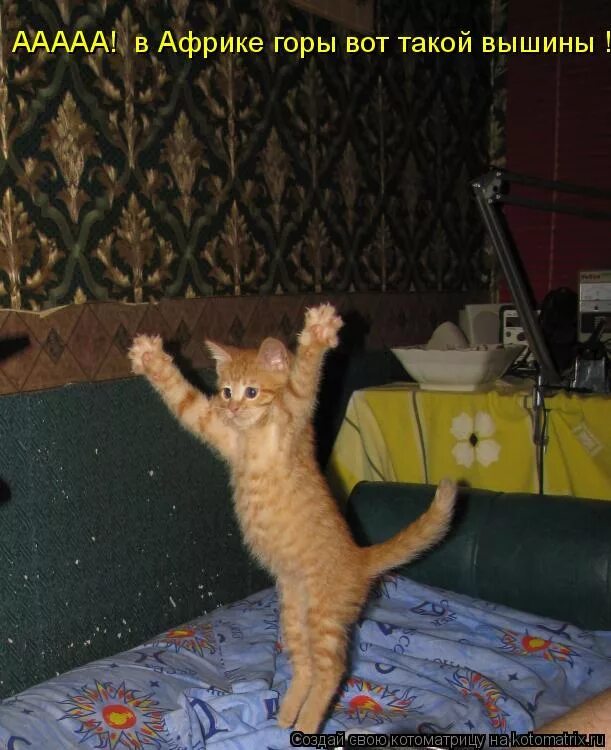 Аа вот такой вышины. Если долго долго долго если долго по дорожке. Красная шапочка текст. Аа вот такой вышины. Ааааа.