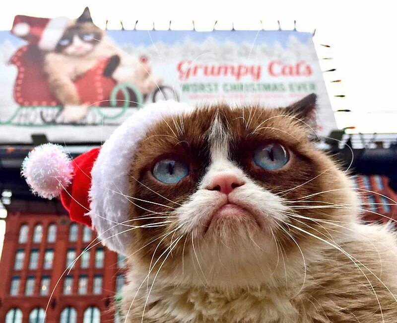 Grumpy s