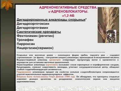 Придать свойства