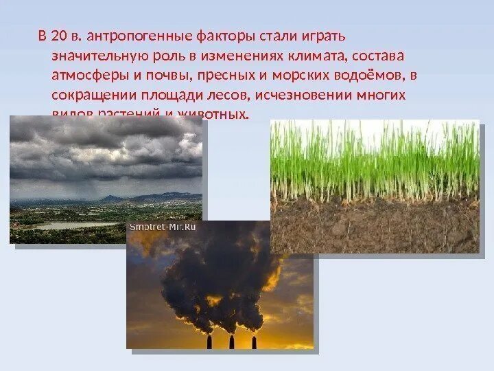 Антропогенное воздействие на растения. Антропогенные изменения в природе это. Роль антропогенного фактора. Антропогенные изменения примеры. Антропогенная природа.