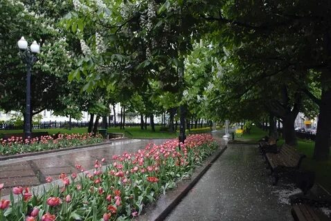 Никитский бульвар