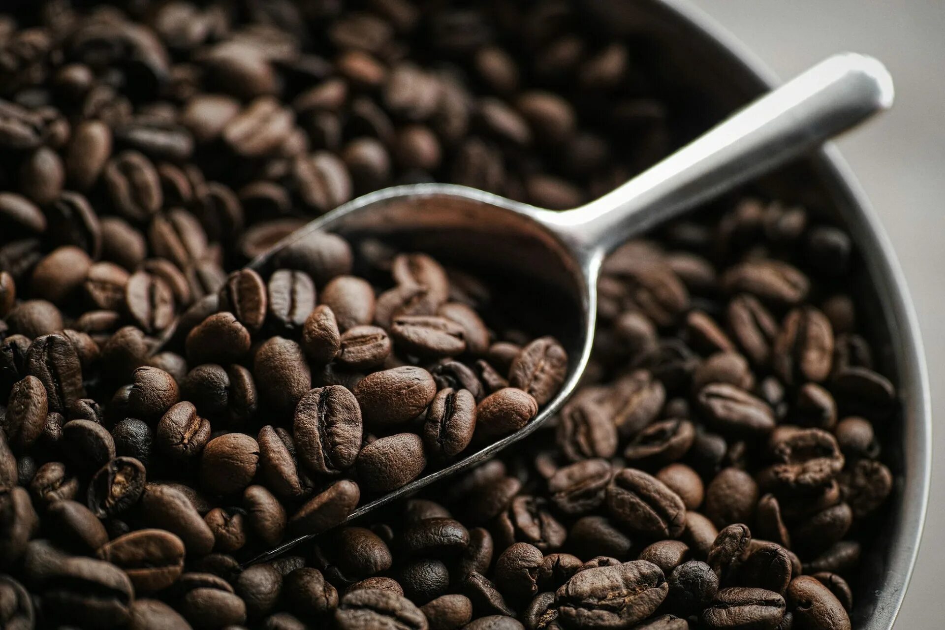 Что такое кава. Кофе в зернах. Кофейные зерна. Кофе «зерновой». Кофейное зернышко.