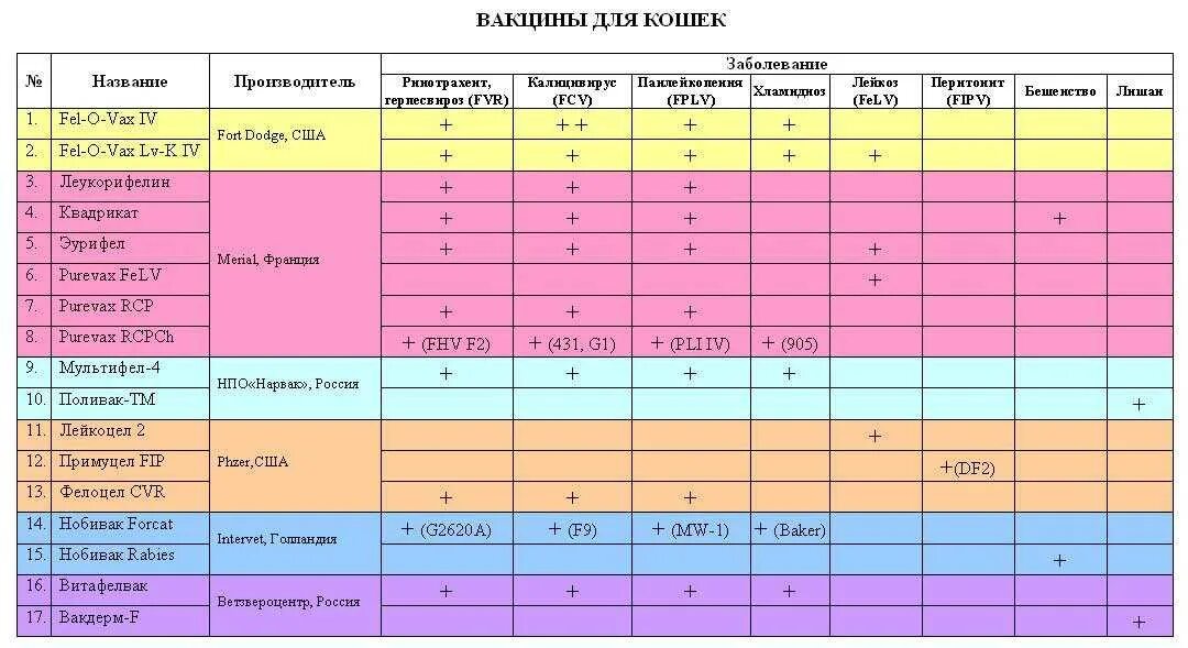 Вакцинация животных 2024 график. Какие прививки делают котам в 2 года. Прививки коту график прививок. Схема прививок для котенка. График прививок для котят.