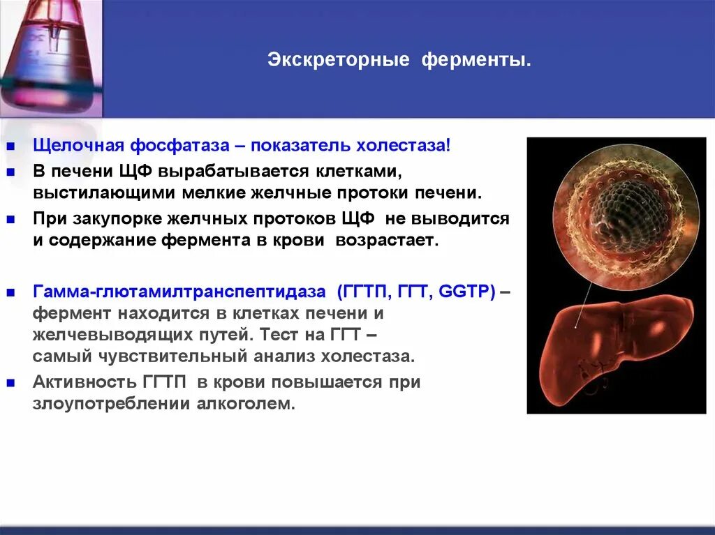 Ферменты помогающие печени. Щелочная фосфатаза фермент печени. Секреторные и экскреторные ферменты печени. Щелочная фосфатаза функция печени. Ферменты щелочной фосфатазы.