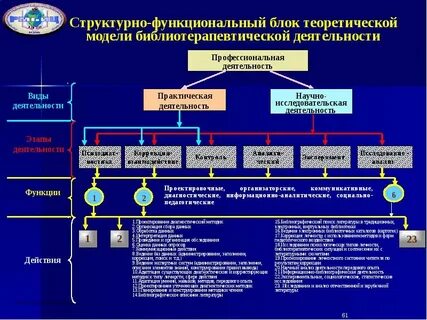 Структурно функциональная организация