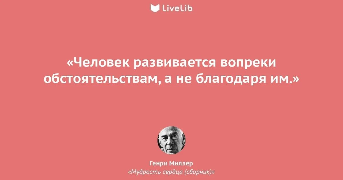 Высказывания о благодарности. Люди в твоей жизни появляются. Афоризмы о преданности собак. Ни один человек не приходит в жизнь другого случайно. Люди не ценят хорошего отношения цитаты.