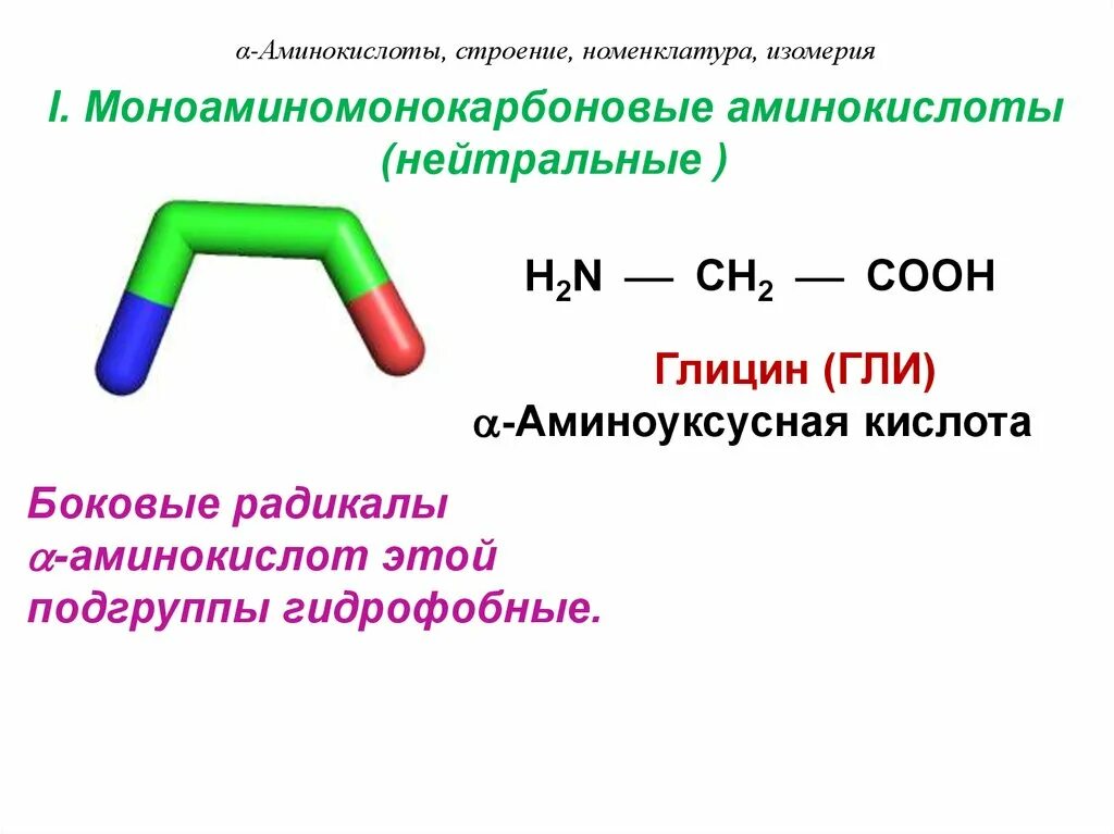 Строение аминокислот номенклатура изомерия. Моноаминомонокарбоновые аминокислоты. Строение α-аминокислот. Аминоуксусная кислота строение.