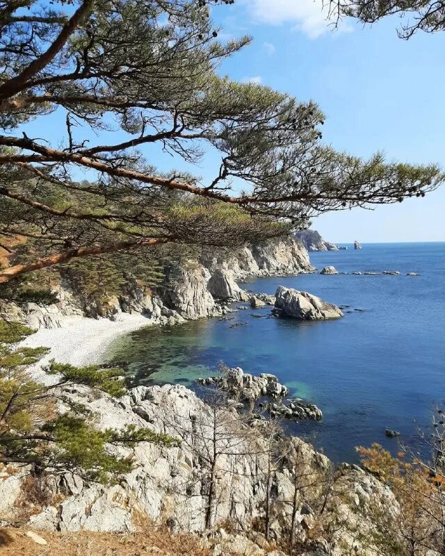 Движение приморье. Движение приморье. Движение приморье. Движение приморье. Движение приморье.