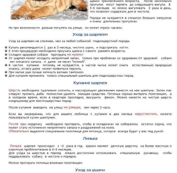 Что можно давать щенку в месяц. Рацион щенка шарпея 5 месяцев. таблица кормления щенков шарпея. рацион щенков шарпея 3 месяца. питание для шарпея щенка.