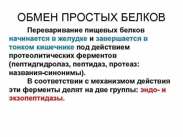 Показатель обмена простых белков. Переваривание белков. Обмен белков определение. Белков обмен простых белков. 2 белковый обмен