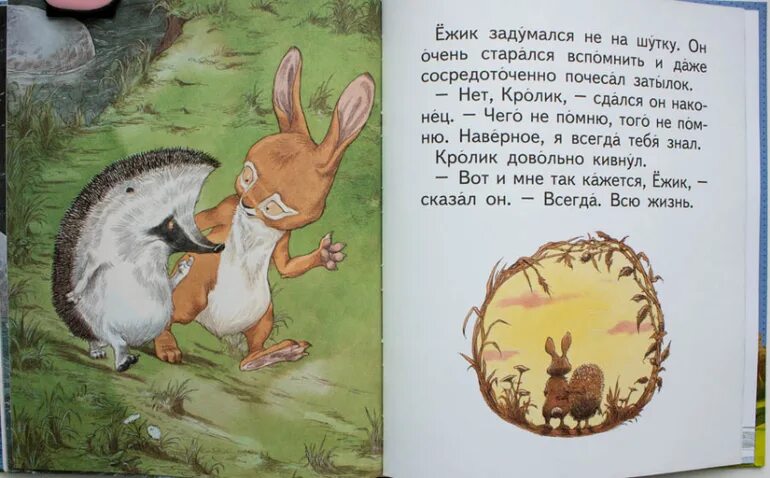 Сочинение разговор ежика и зайца. Сказка разговор ежика и зайца. Сочинение Ежик и заяц. Рассказ разговор ежика и зайца.