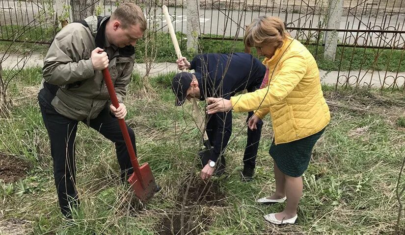 Ученики ухаживали за 2. Садовый поселок Екатеринбург школа. Школа поселок садовый. Посёлок садовый Екатеринбург.