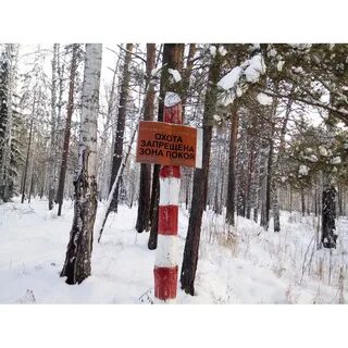 Запрет на охоту