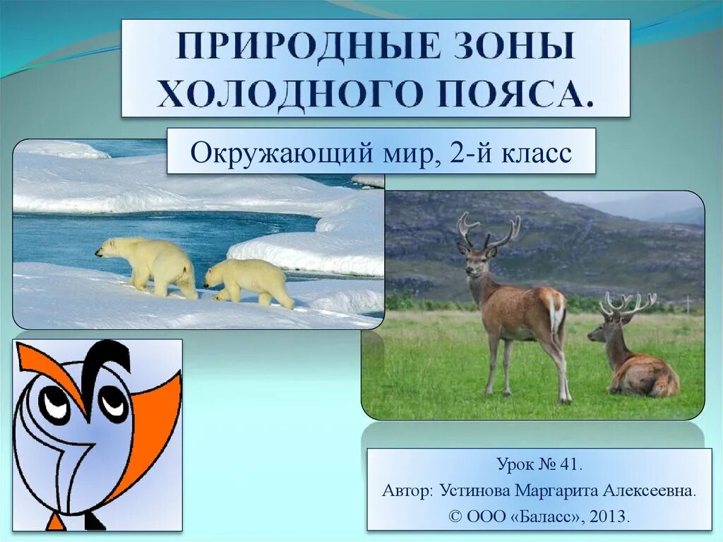 Какая природная зона перед полярным кругом. Природные зоны холодного пояса. Природные зоны холодного пояса 2 класс. Животные холодного пояса. Презентация окружающий мир природные зоны.