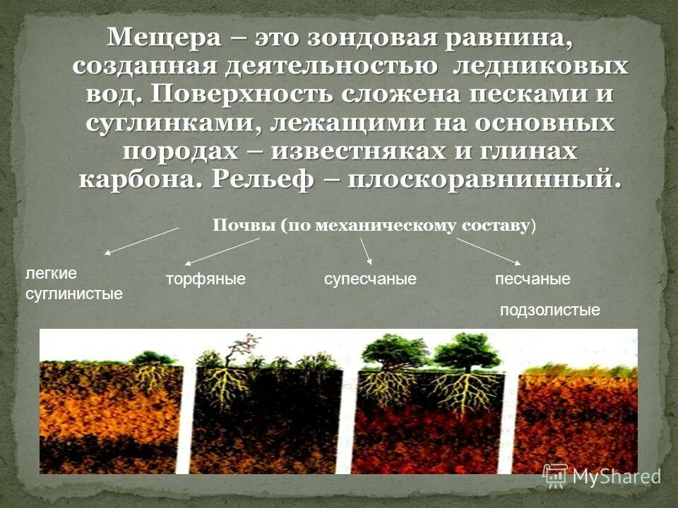 какие почвы называются тяжелыми