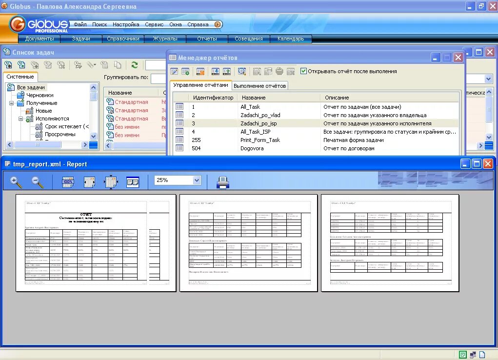 Программа глобус для компьютера. Программа глобус. Приложение глобус. Globus professional. Программа глобус.