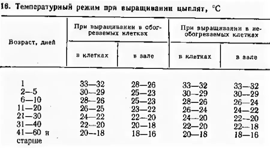 Выключать ли свет цыплятам на ночь. Температура в брудере для цыплят таблица несушек. Температурный режим в брудере для цыплят несушек. Температурный режим для цыплят несушек. Температурный режим для цыплят бройлеров в брудере.