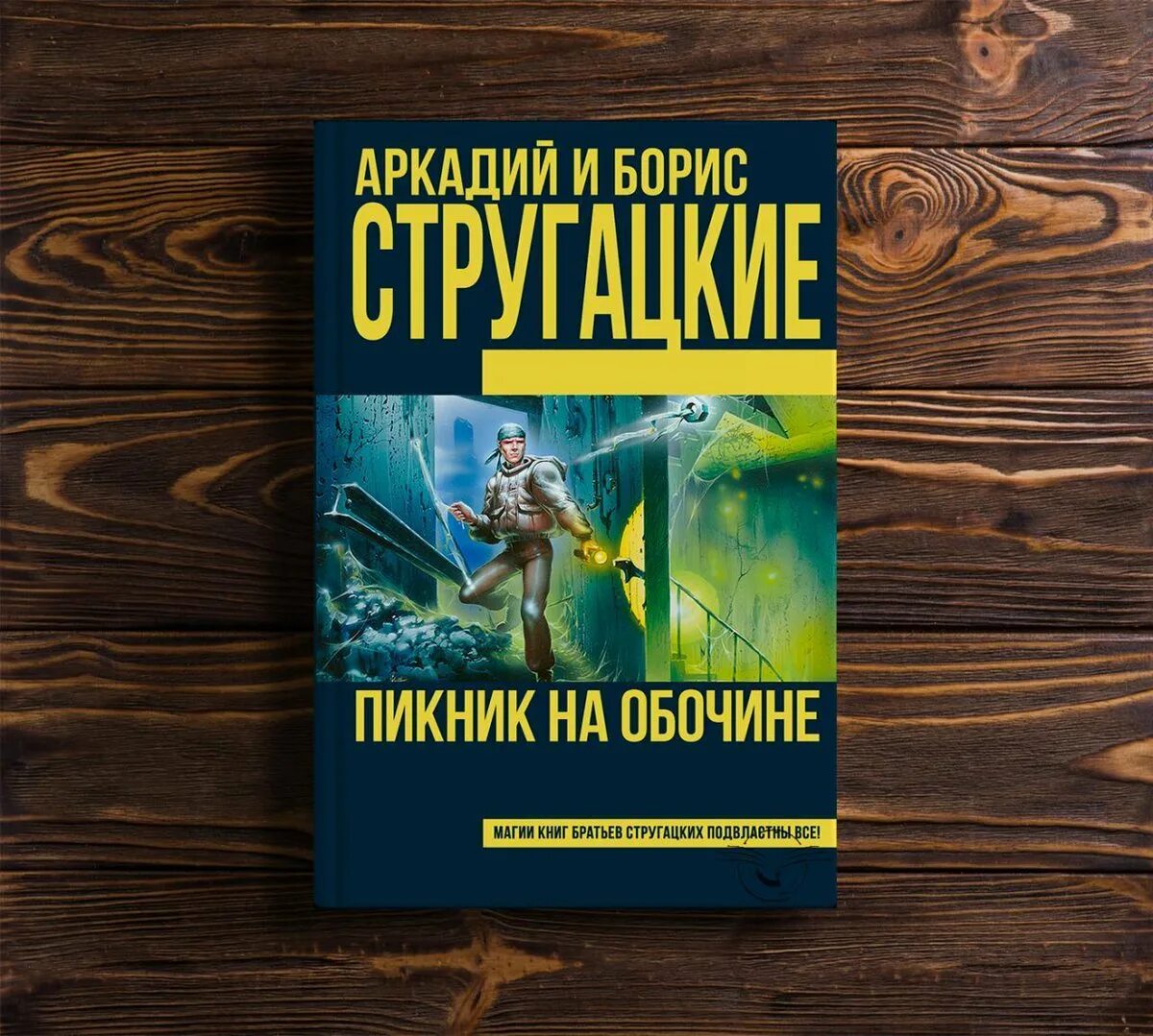 Пикник на обочине о чем книга. Пикник на обочине обложка книги. Пикник на обочине братья Стругацкие книга.