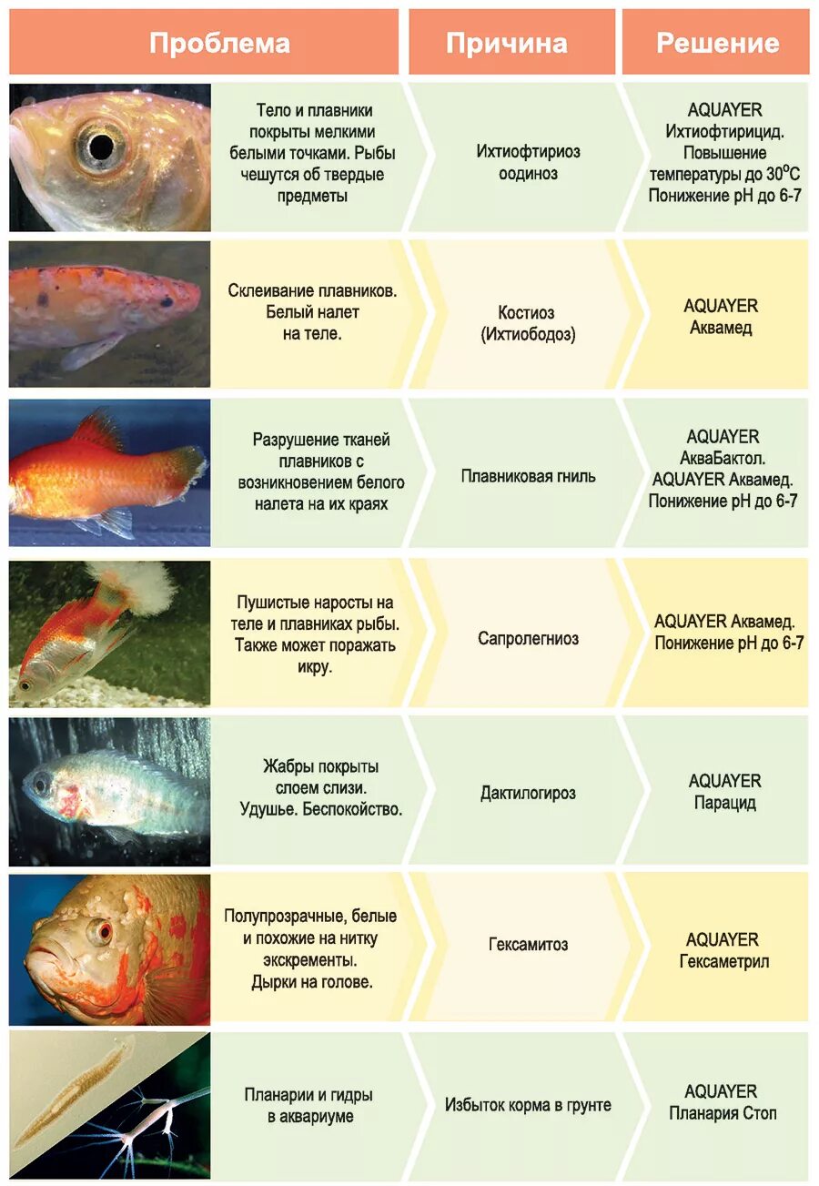 Таблица аквариумных рыб. Болезни аквариумных рыб. Болезни аквариумных рыбок. Болезни рыб таблица.