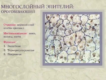 Какая ткань многослойная