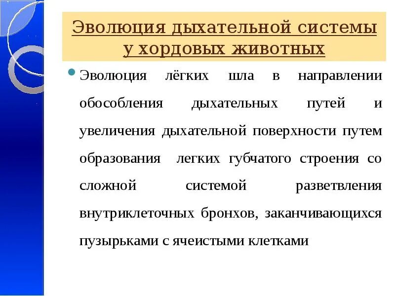 В каких направлениях шла эволюция трехслойных. Эволюция дыхательной системы хордовых. Основные направления эволюции дыхательной системы. Эволюция дыхания у животных. Направление эволюции дыхательной системы животных.