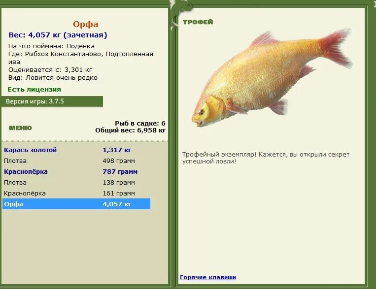рыбхоз константиново. рыбхоз константиново. русская рыбалка 3 рыбхоз. русская рыбалка 3 7 4 рыбхоз константиново лосось озерный. русская рыбалка 3 рыбхоз подтопленная ива ямы.