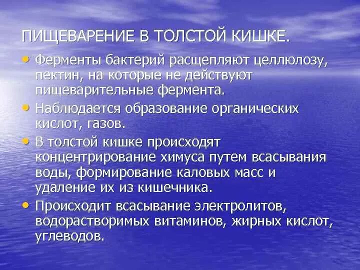 Пищеварение в толстой. Ферменты толстой кишки. действующие ферменты в толстом кишечнике. пищеварительные ферменты в толстом кишечнике. основные ферменты тонкого кишечника.
