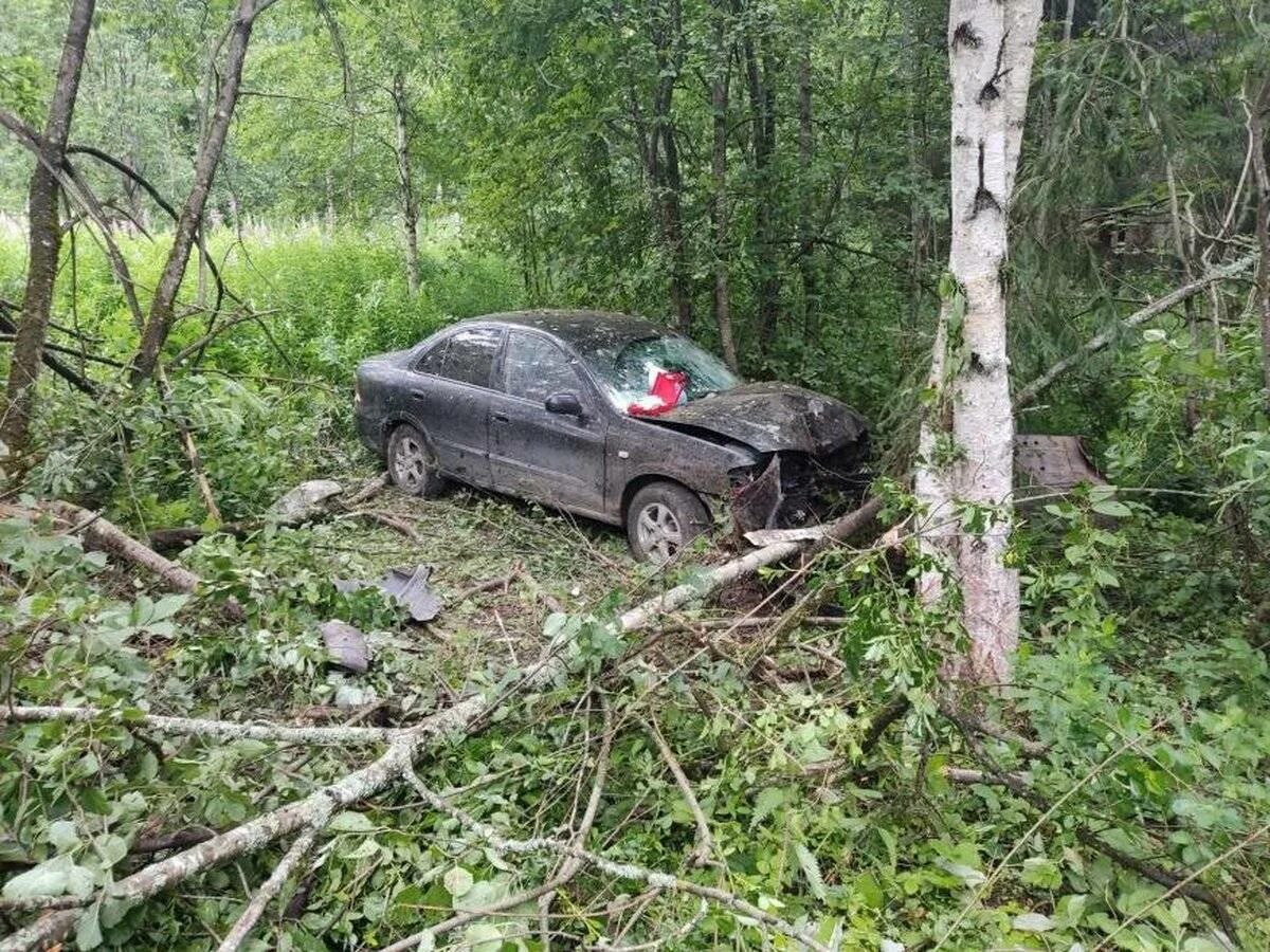 Происшествия в новгородской области. Брошенные машины в лесу. ДТП В Новгородской области вчера. Машина врезалась в дерево в лесу. ДТП В Любытинском районе вчера.