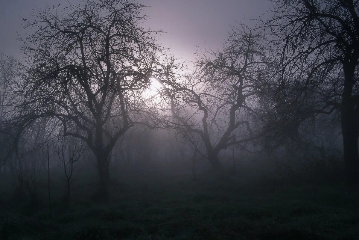 Man in the dark. Девушка в темном лесу. Darkness mystery. Darkness mystery. Darkness mystery.