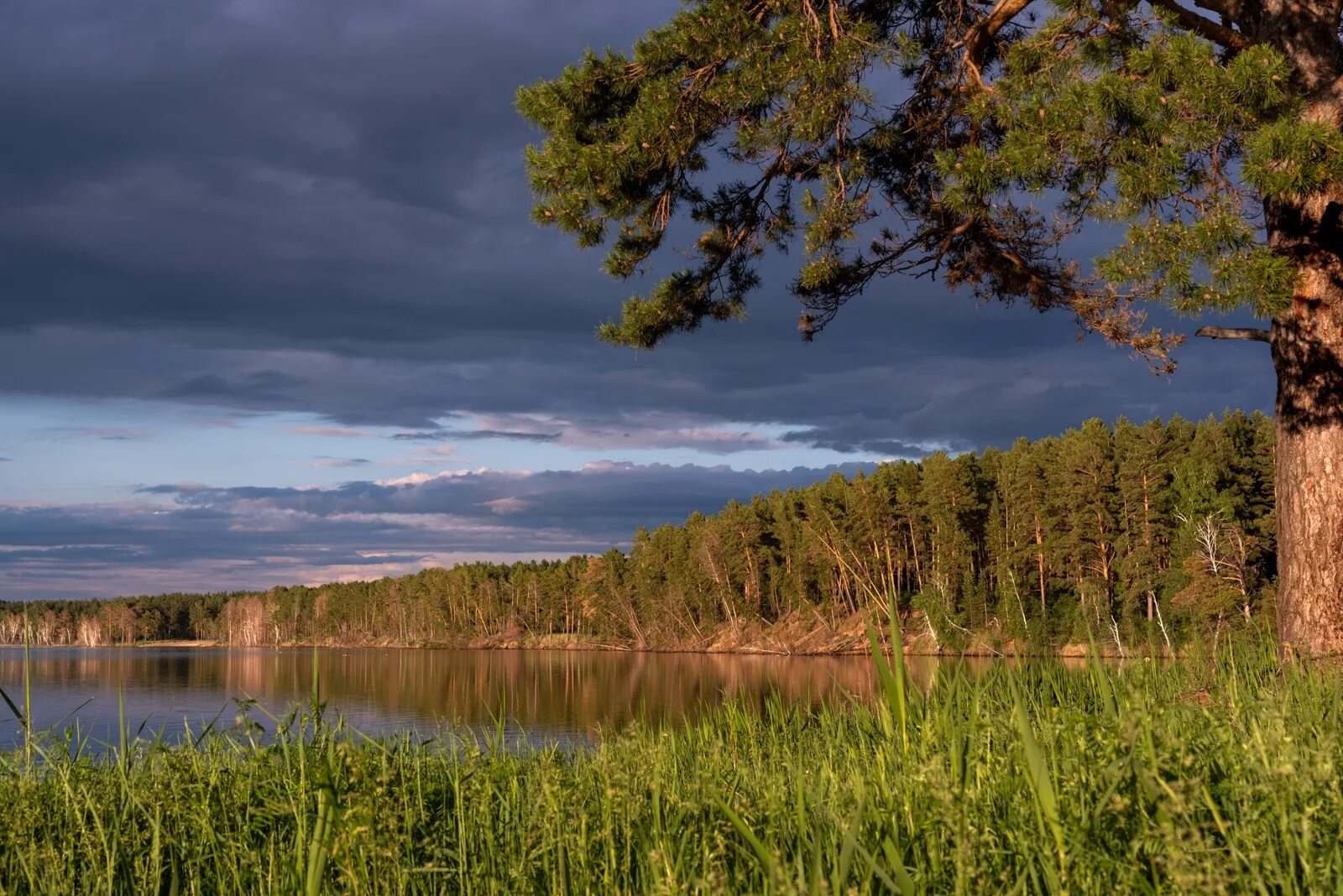 Озера алтайского края фото