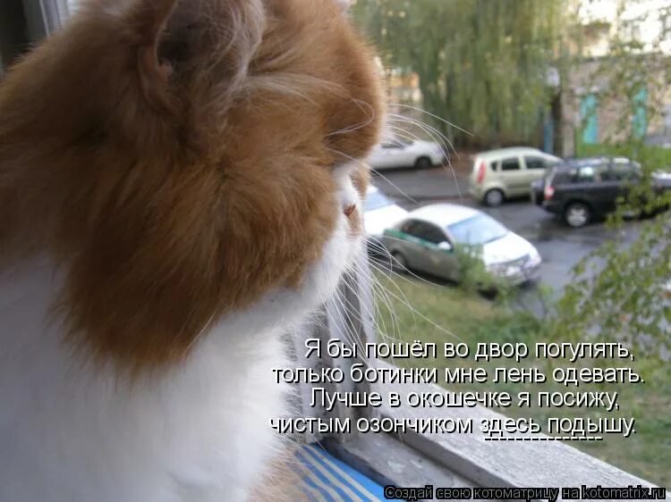 тихо едет крыша не спеша. тихо тихо не спеша.