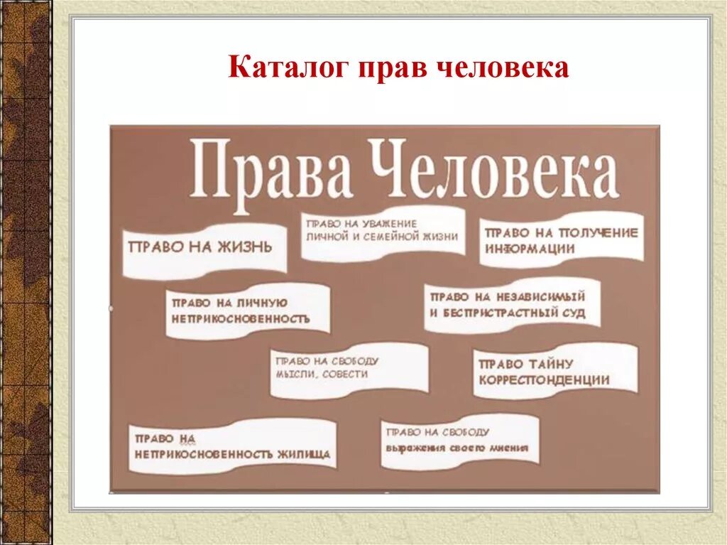 Защита прав человека проект. Каталог прав человека.