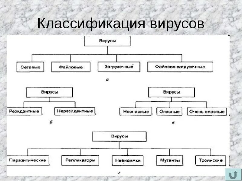 3 группы вирусов. Классификация вирусов схема. Классификация вирусов схема биология. Характеристика классификация строения вирусов. Классификация вирусов по размеру.