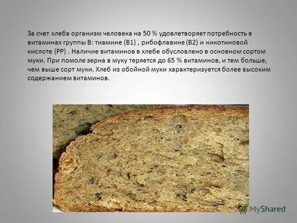 Хлеб организмы