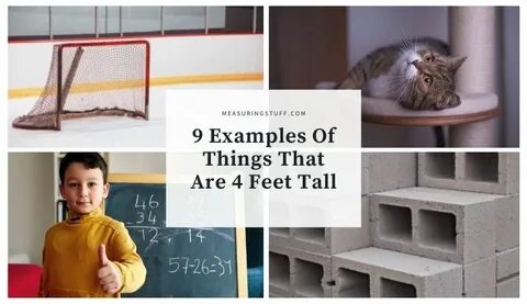4 feet tall