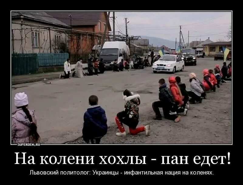 Каждый украинец. Хохлы на коленях. Украинцы на коленях. Хохлы на коленях перед. Хохлы не рабы.