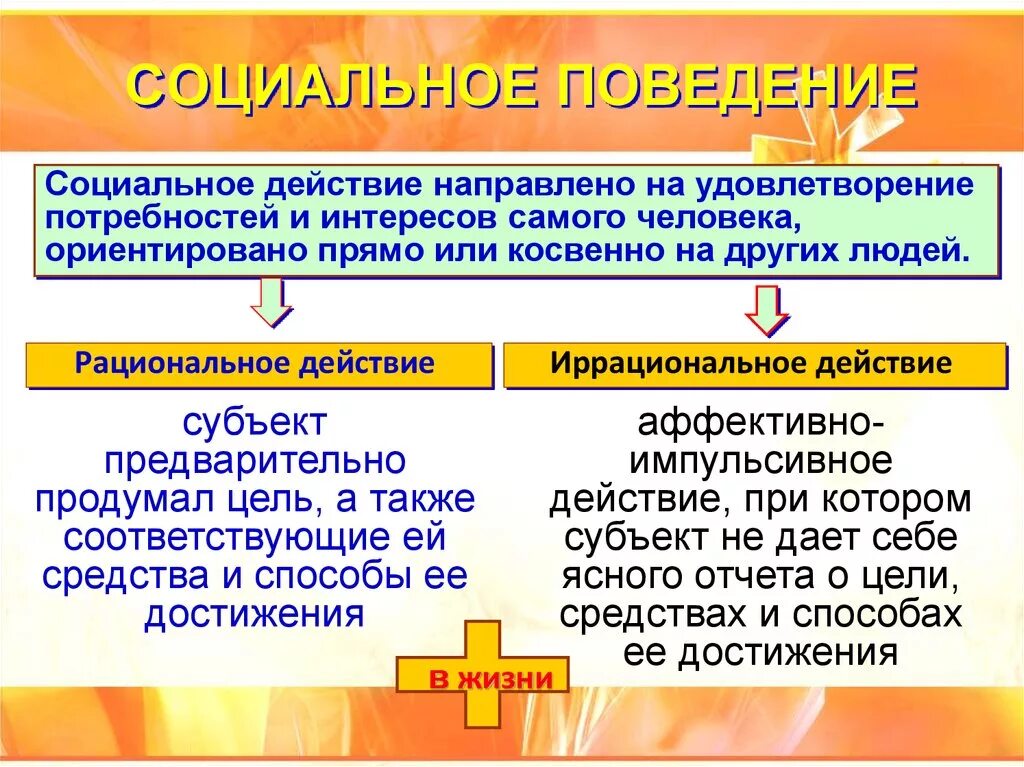 Ожидаемое поведение личности связанное с ее. Социальное поведение. Понятие социального поведения. Социальное поведение личности. Образцы социального поведения.