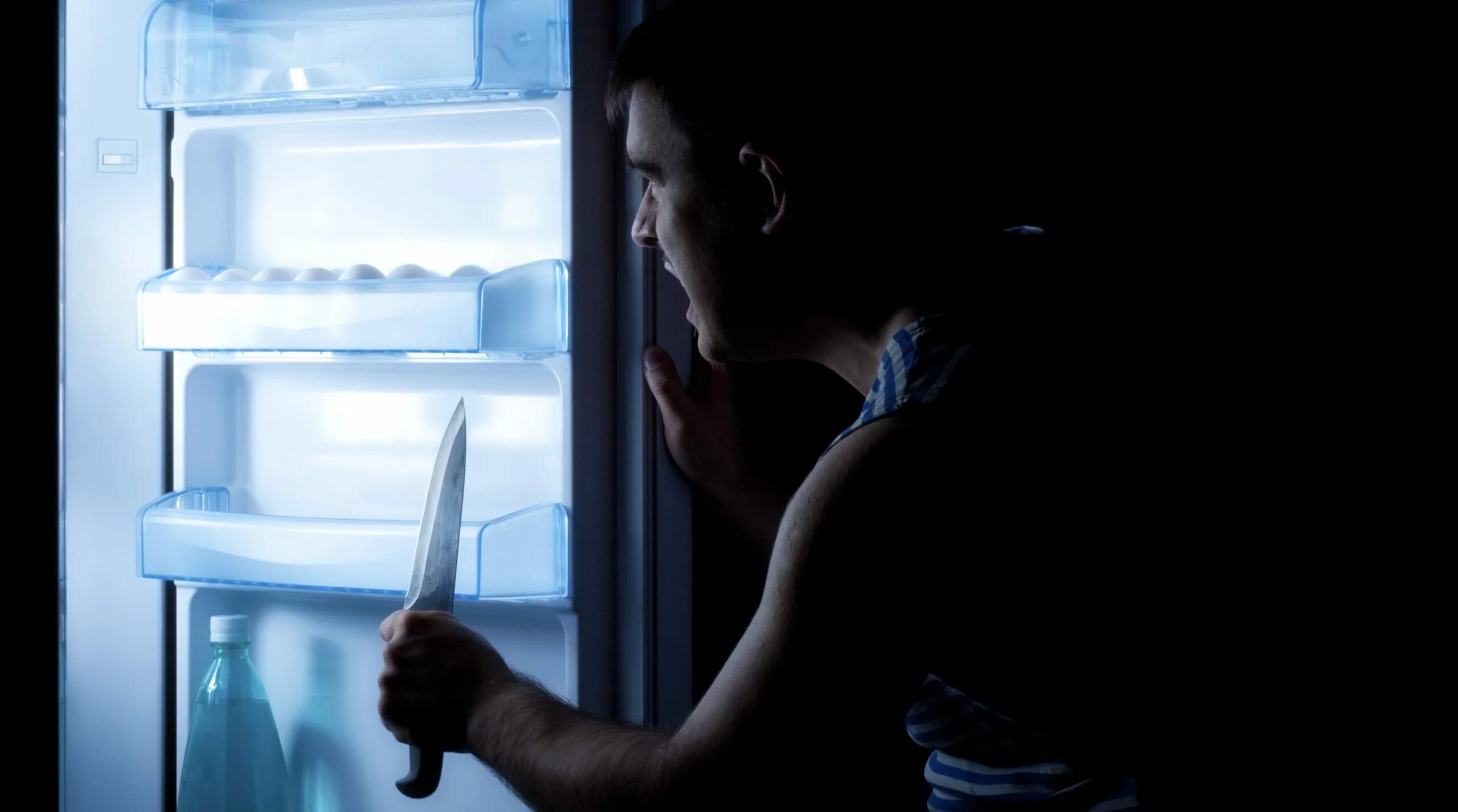 Холодильник с продуктами. Человек в холодильнике. Креативные холодильники. Открытый холодильник. Холодильник молчит.