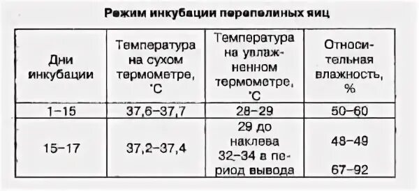 Температура в инкубаторе для перепелиных яиц. Режим инкубации перепелиных яиц таблица. Таблица вывода перепелов в инкубаторе. Температурный режим для вывода перепелов в инкубаторе.