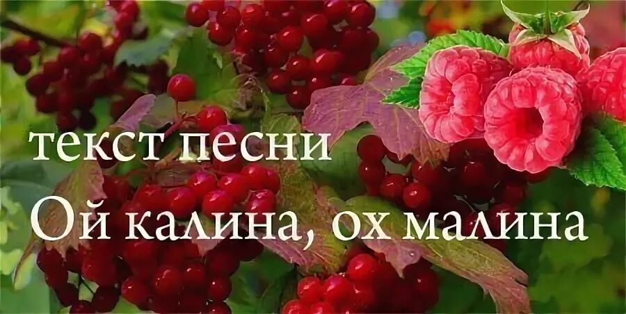 Текст песни в речке талая вода. Ой Калина. Ой малина. Калина малина текст. Калина малина песня слова.