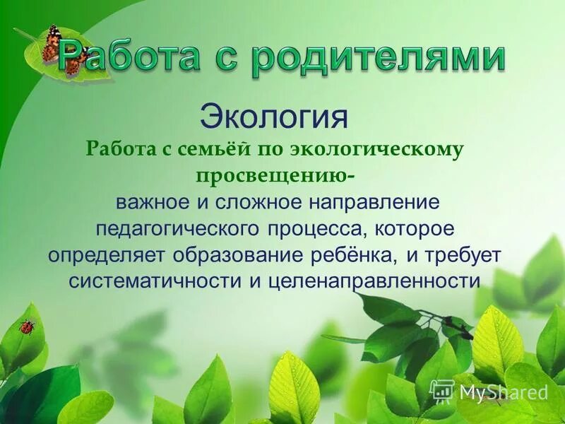 Создание условий для экологического воспитания детей. Экологическое воспитание. Экология воспитания. Работа по экологии. Экологическое воспитание для родителей.