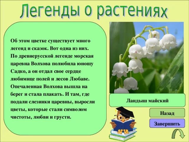Легенды о растениях и животных. Легенды о растениях и животных