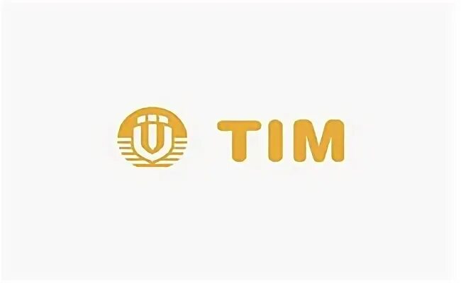 Тим сантехник